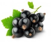 Blackcurrant / Черная смородина 5 мл