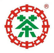 CNNP