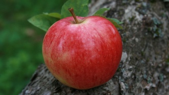 Red Apple / Красное яблоко 5 мл