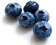 Blueberry / Черника 5 мл