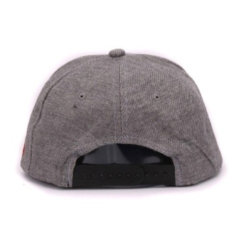 Vape Caps SWAG  gray