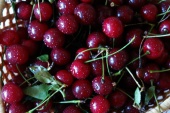 Cherry / Вишня 5 мл